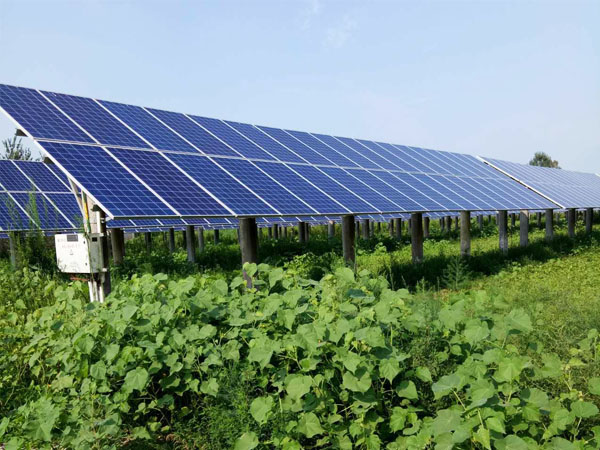 江山控股農(nóng)光互補電站項目